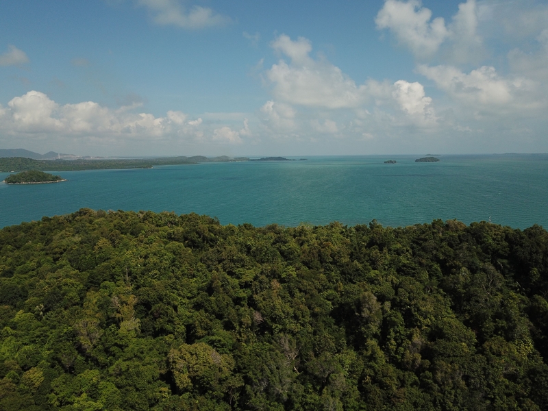 Welcome To RoamCompare